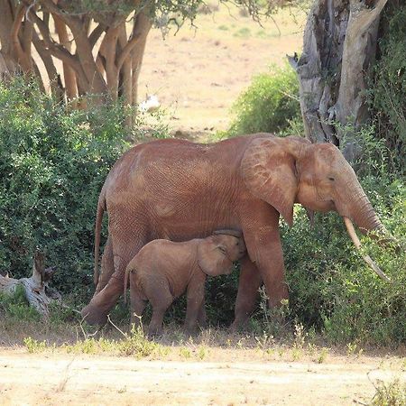 Nyumba Ya Afrika Panzió Watamu Kültér fotó