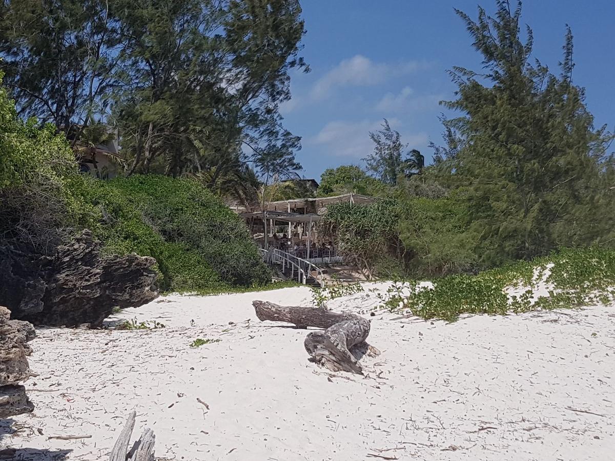 Nyumba Ya Afrika Panzió Watamu Kültér fotó
