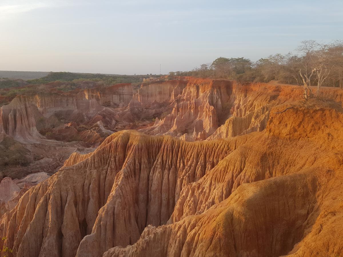 Nyumba Ya Afrika Panzió Watamu Kültér fotó
