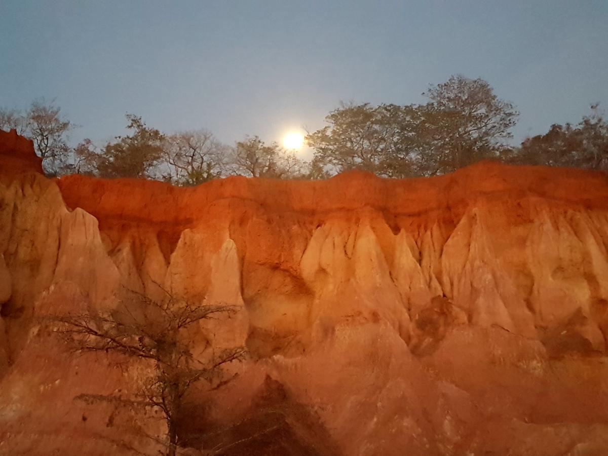 Nyumba Ya Afrika Panzió Watamu Kültér fotó