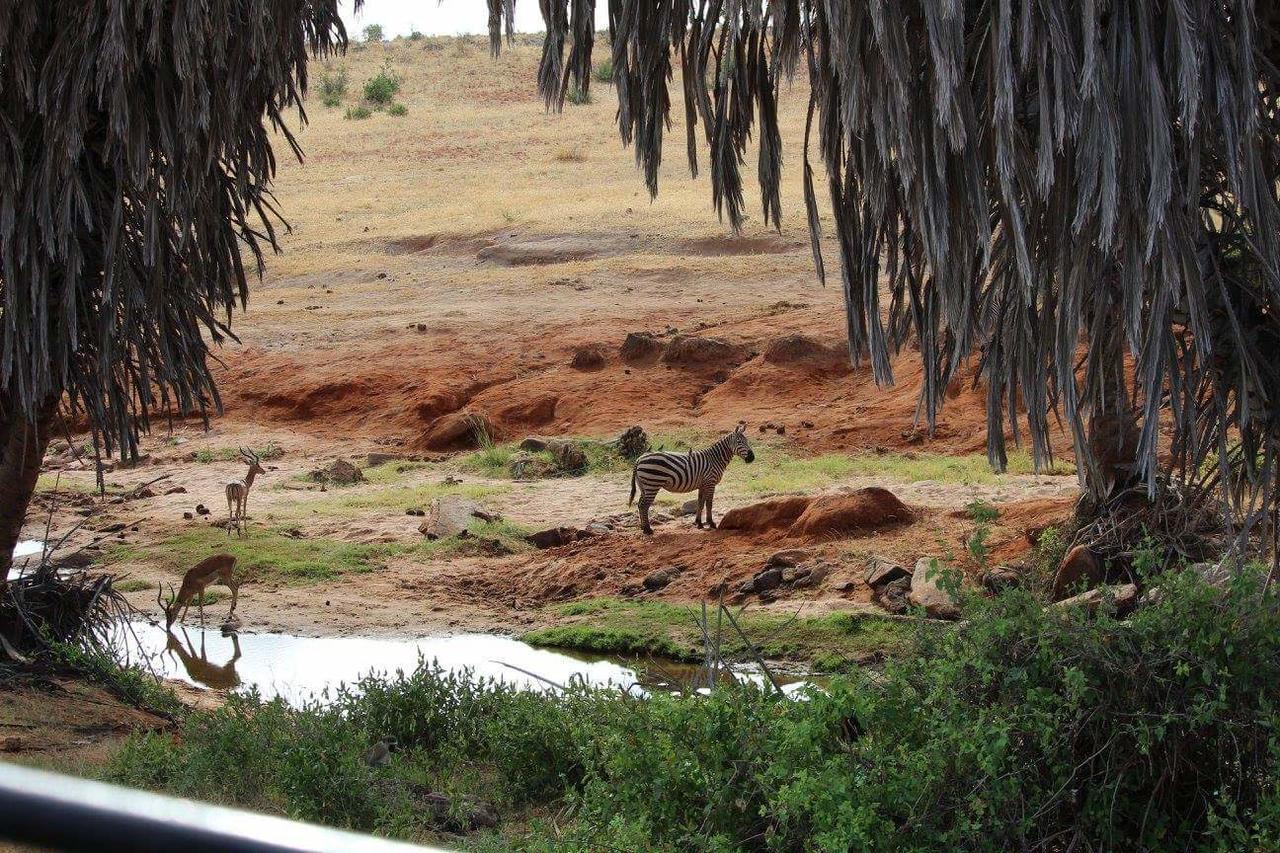 Nyumba Ya Afrika Panzió Watamu Kültér fotó