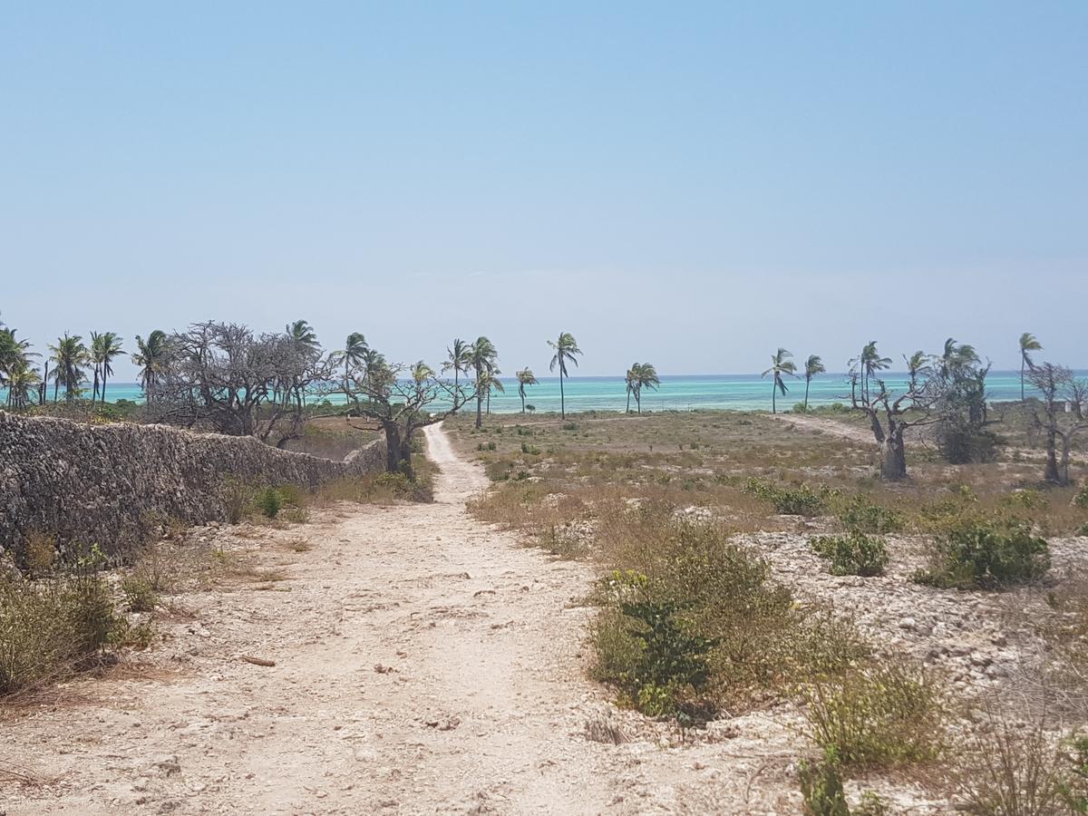 Nyumba Ya Afrika Panzió Watamu Kültér fotó